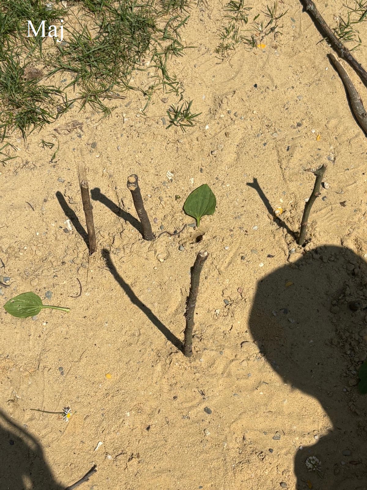 kreatywna matematyka